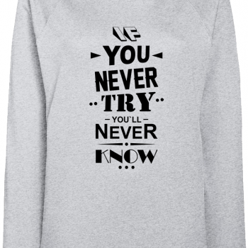 Дамска сива блуза If you never try You will never know Дамска сива блуза If you never try You will never know