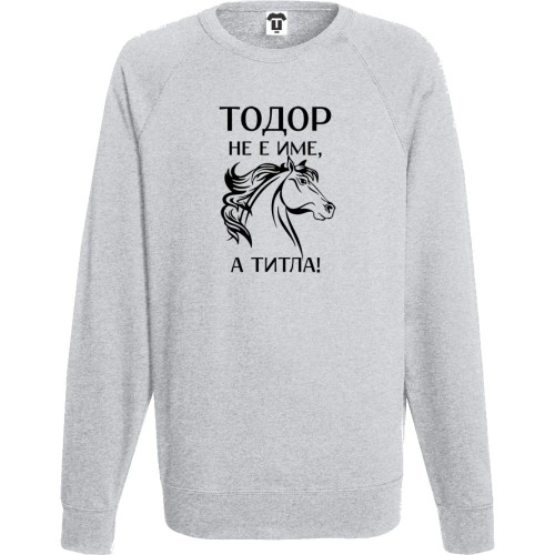 Мъжка тъмно-синя или сива блуза Тодор не е име, а титла